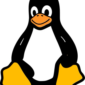 Linux наше все