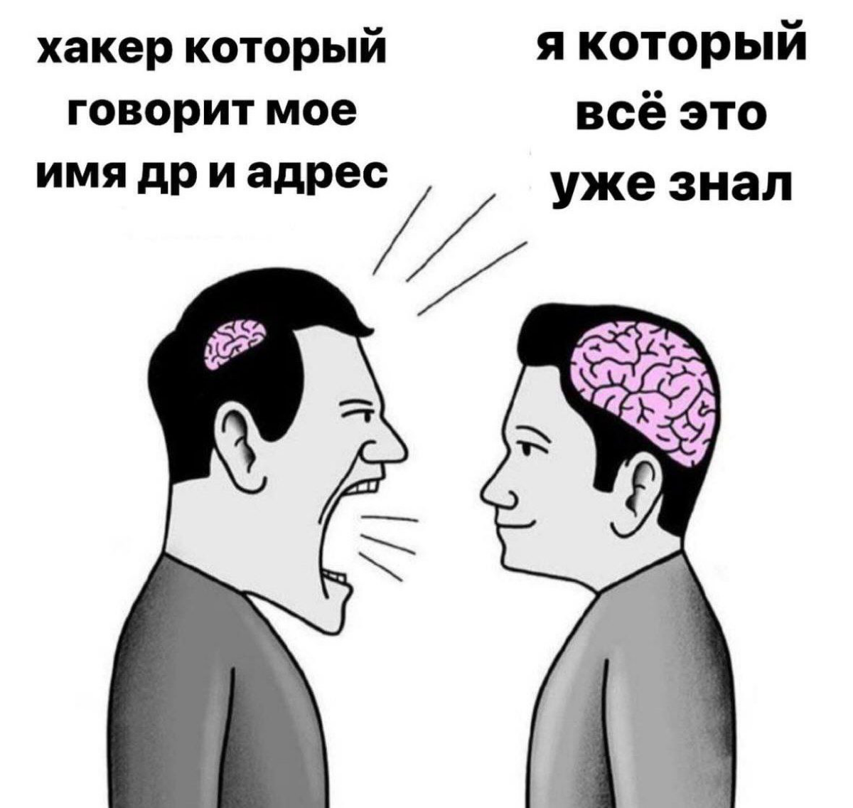 Сетка — социальная сеть от hh.ru