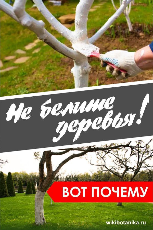 🛑Как можно быть безработным, если кто-то красит деревья? | Сетка — социальная сеть от hh.ru
