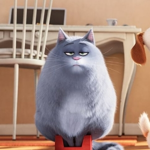 Ольга Шайхатдинова | Сетка — социальная сеть от hh.ru