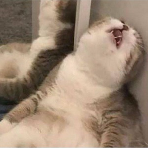 Соболев Владислав | Сетка — социальная сеть от hh.ru