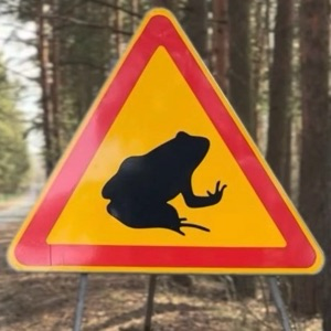 Юля Ми | Сетка — социальная сеть от hh.ru