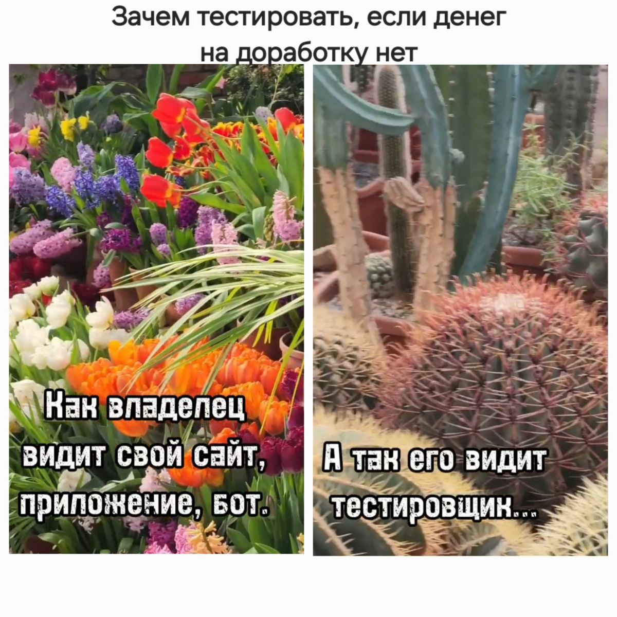 Многие могут задаться вопросом: "Зачем проводить тестирование сайта, бота, приложения, если нет возможности оплатить в дальнейшем услуги разработчика?" В реальности, услуги по тестированию нужны и важ... | Сетка — социальная сеть от hh.ru