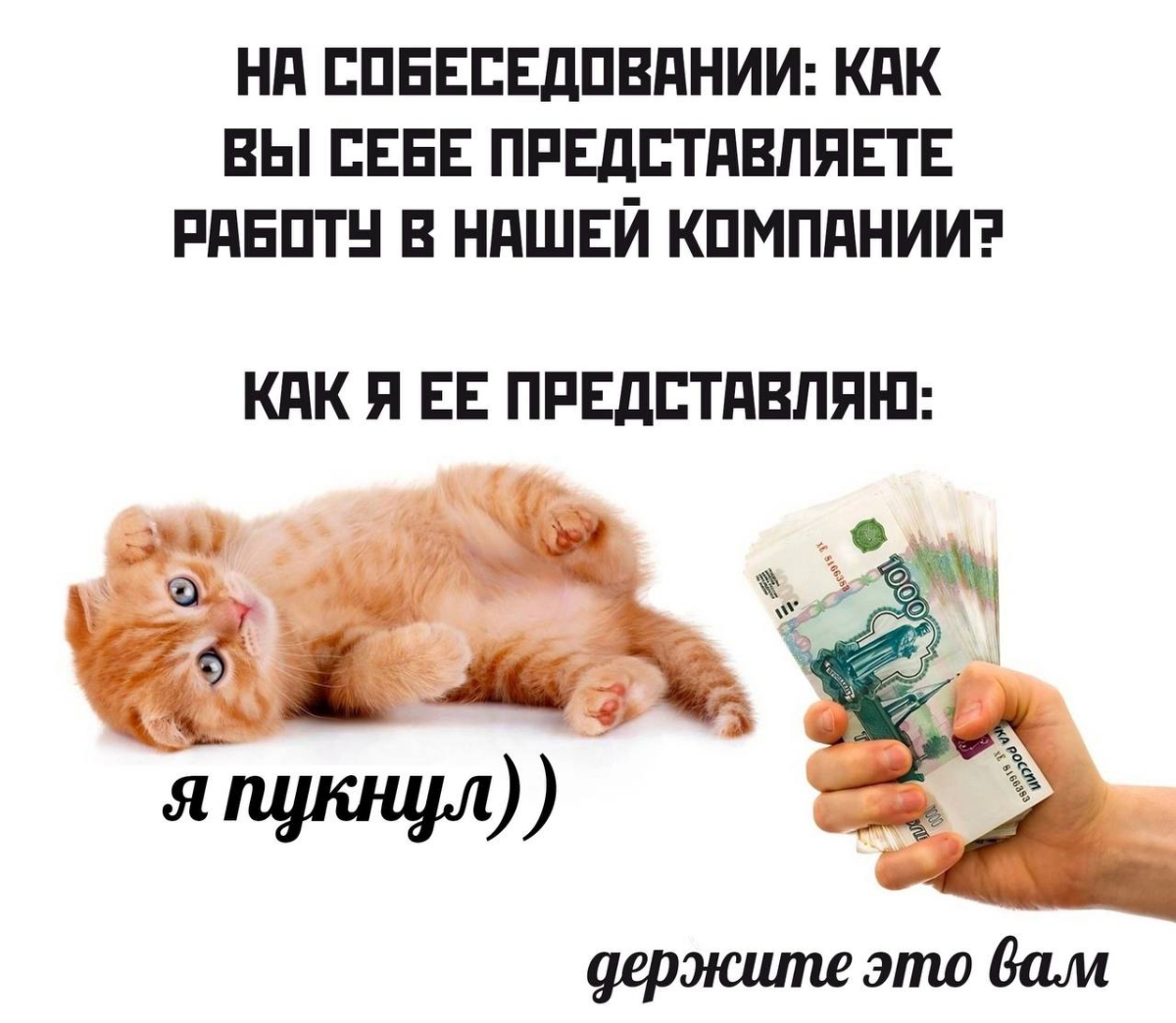 Мем #11 | Сетка — социальная сеть от hh.ru