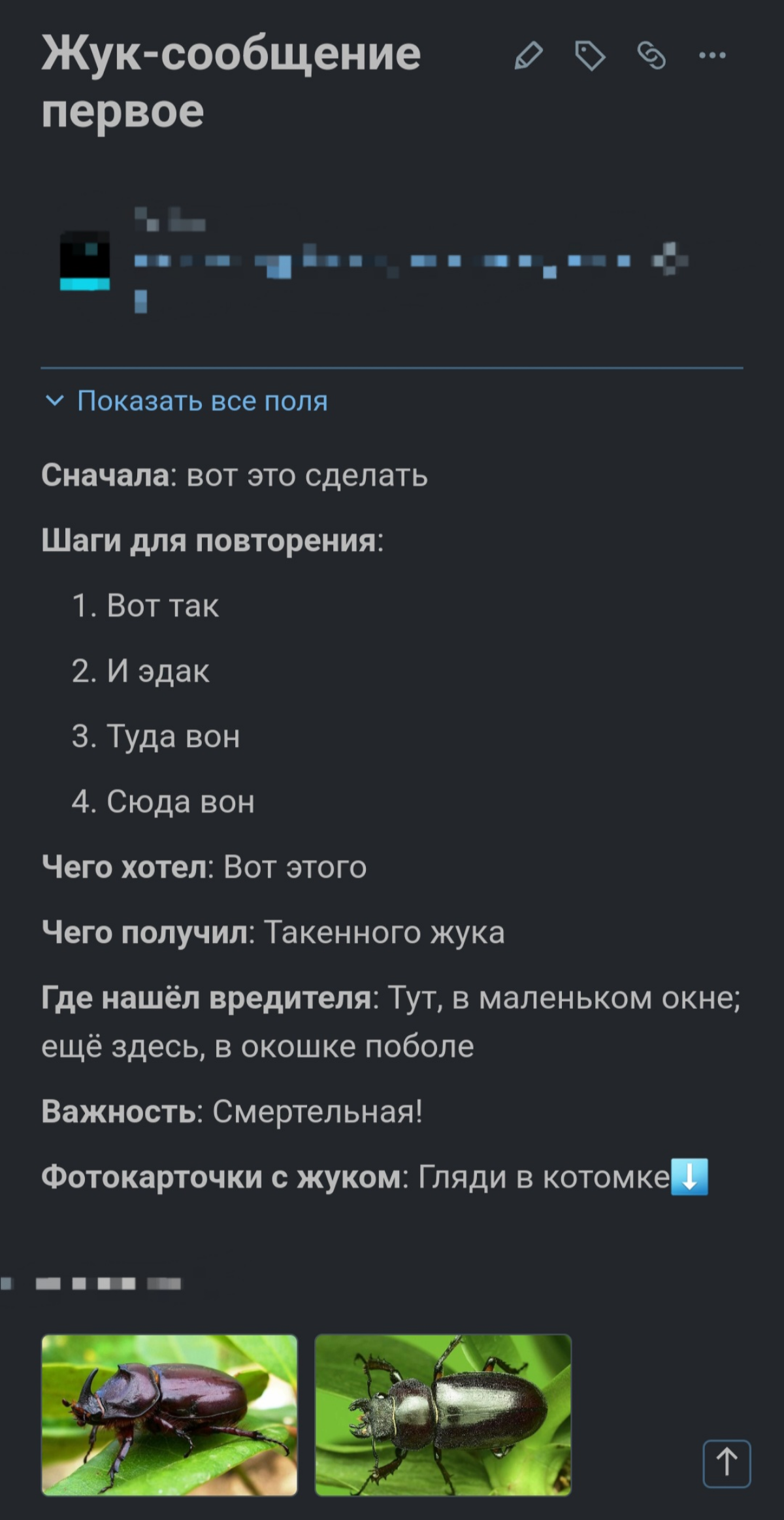 Жук-репорт🤪 | Сетка — социальная сеть от hh.ru