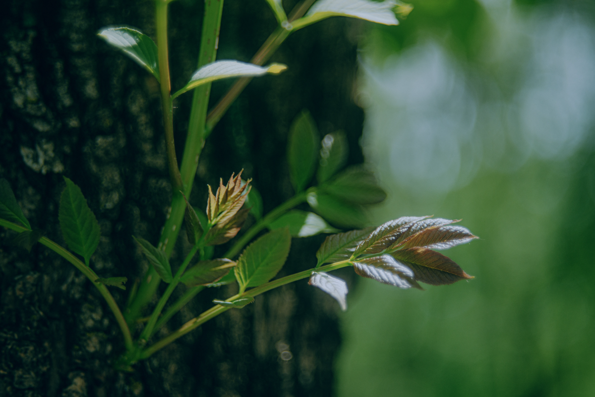 Когда еще не лето, но уже не весна | Сетка — социальная сеть от hh.ru