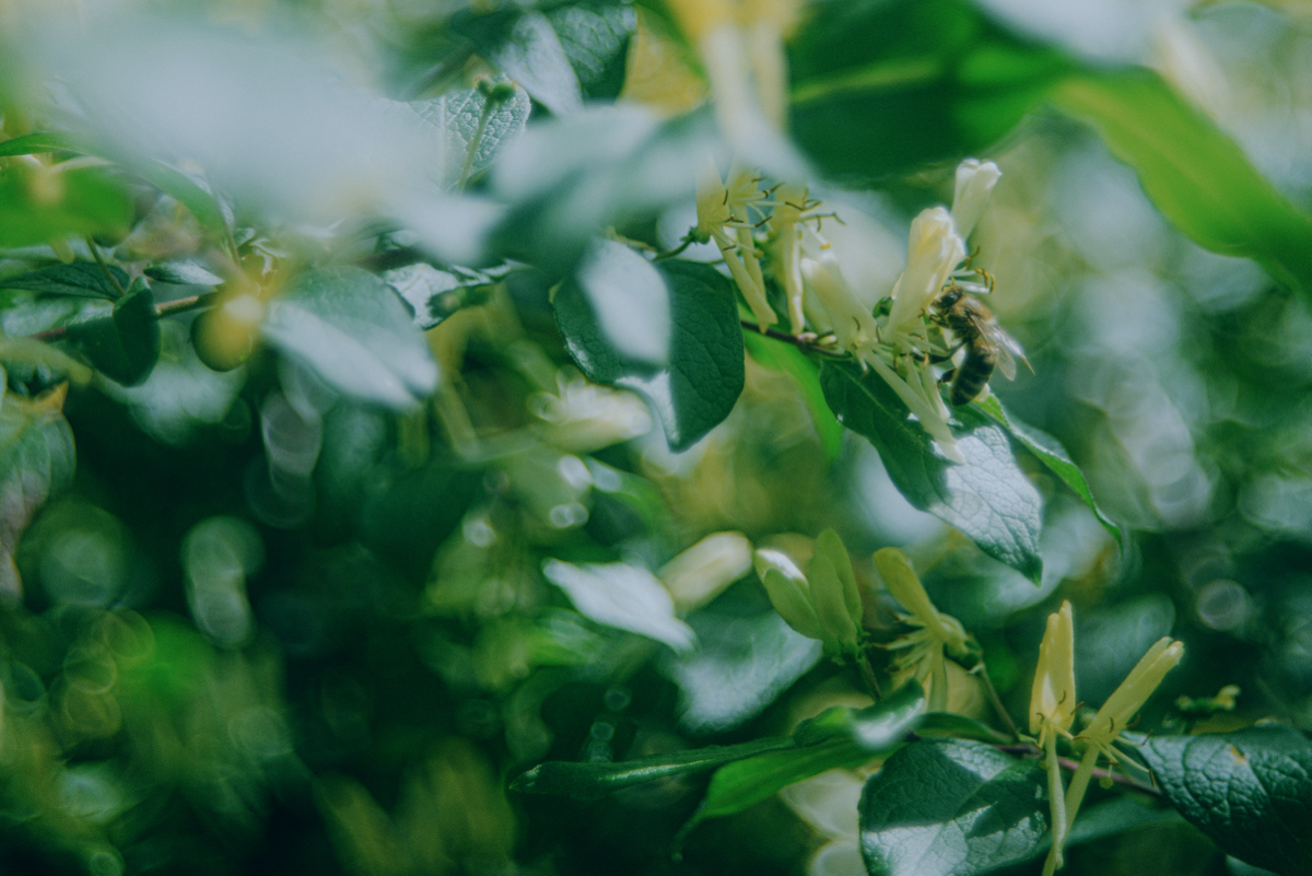 Когда еще не лето, но уже не весна | Сетка — социальная сеть от hh.ru