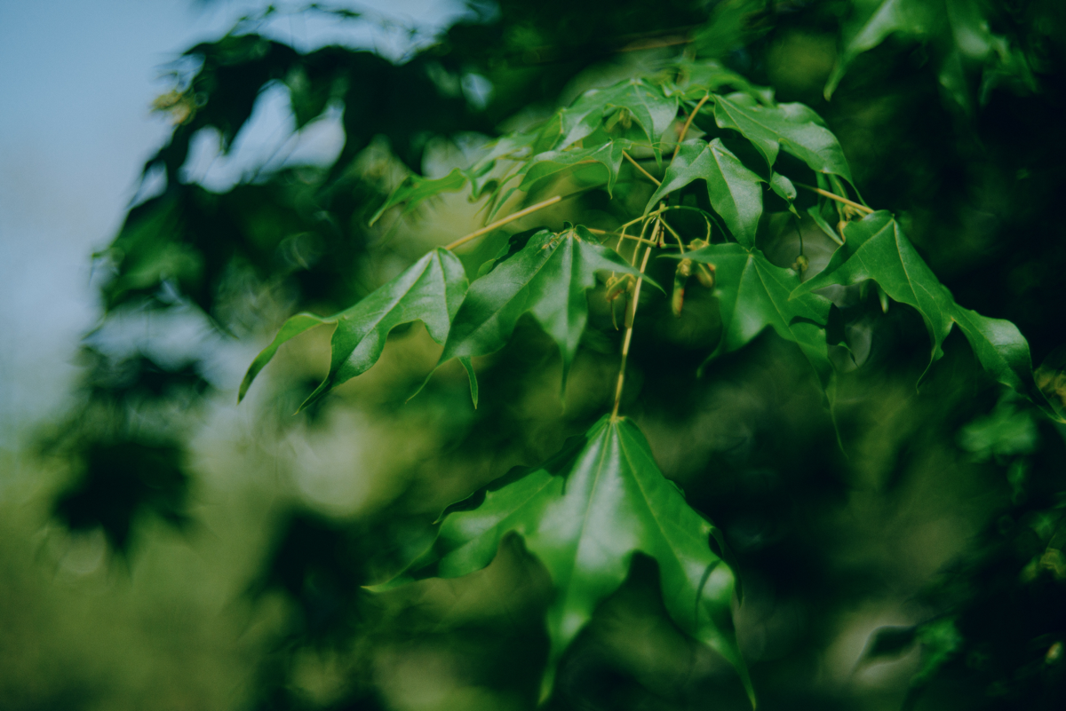 Когда еще не лето, но уже не весна | Сетка — социальная сеть от hh.ru