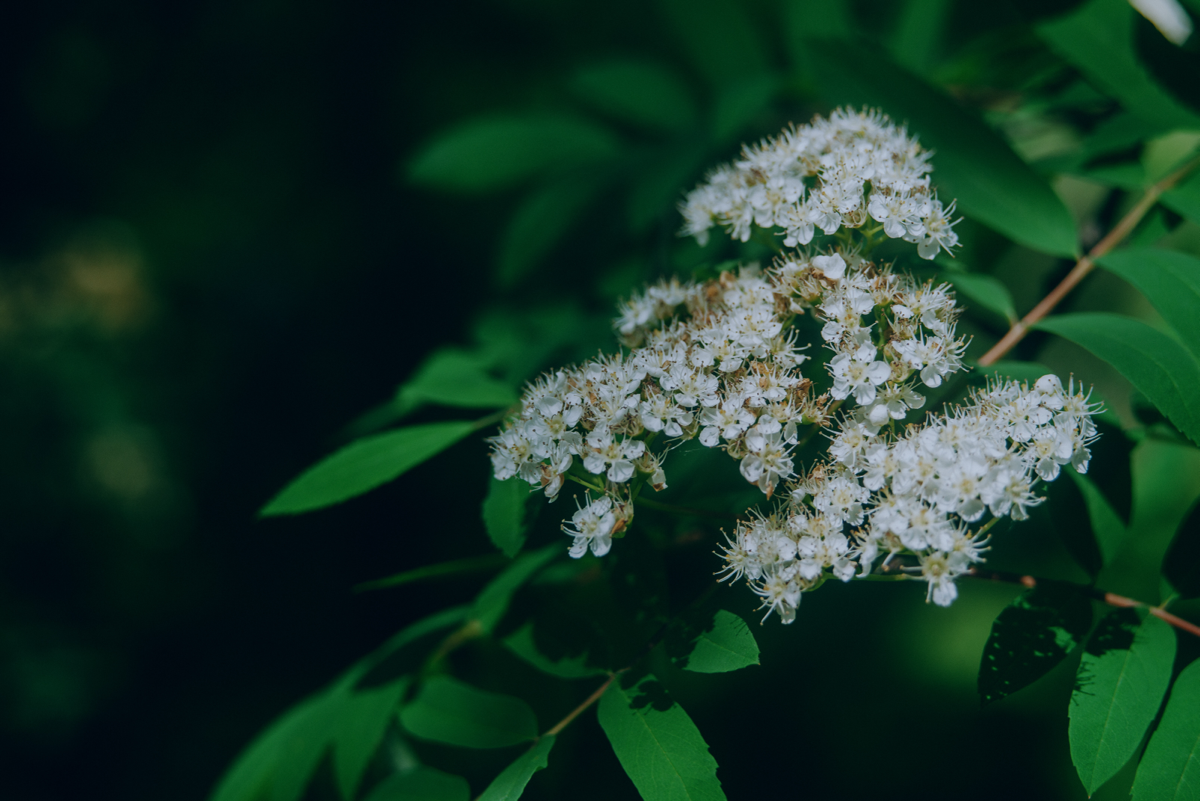 Когда еще не лето, но уже не весна | Сетка — социальная сеть от hh.ru