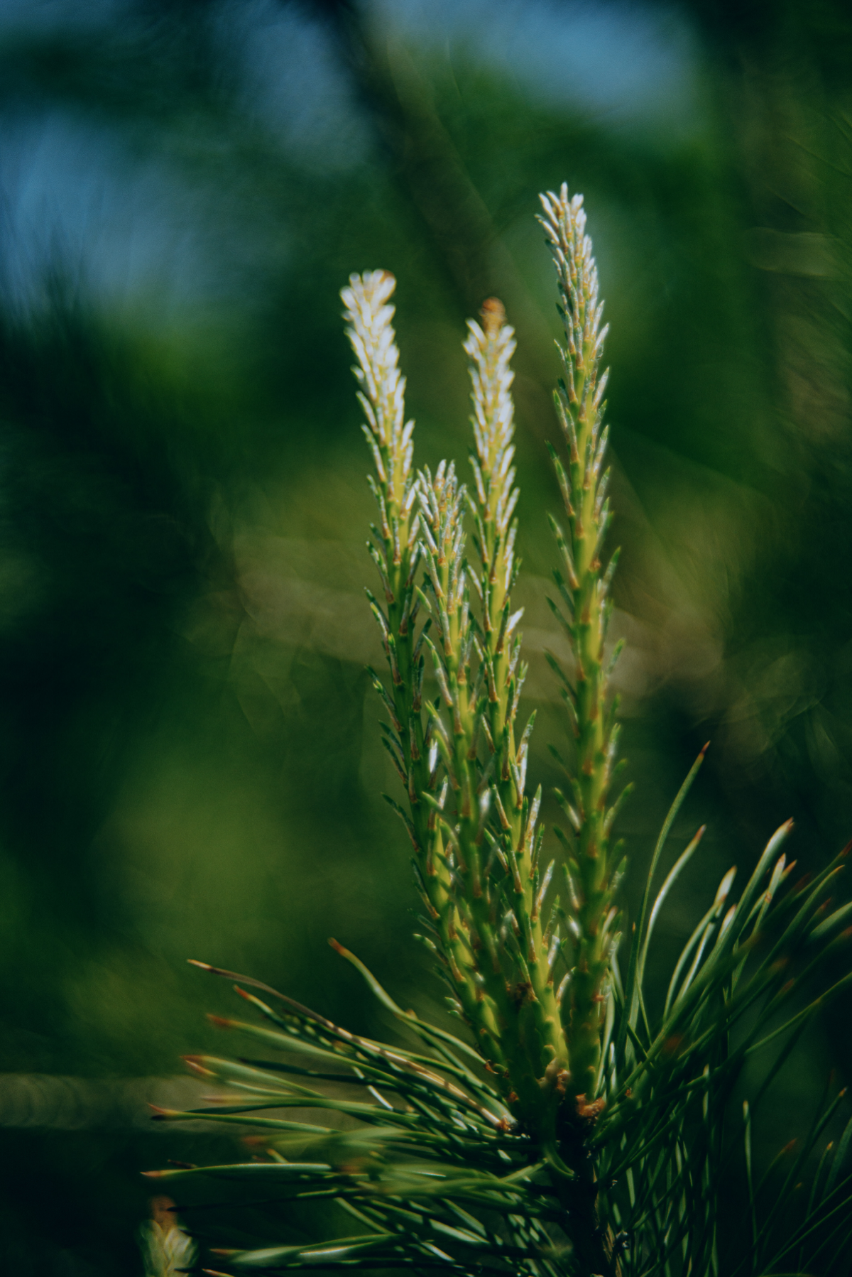 Когда еще не лето, но уже не весна | Сетка — социальная сеть от hh.ru
