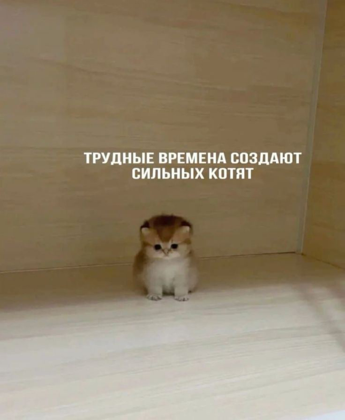 Что сподвигло "двигаться"? | Сетка — социальная сеть от hh.ru