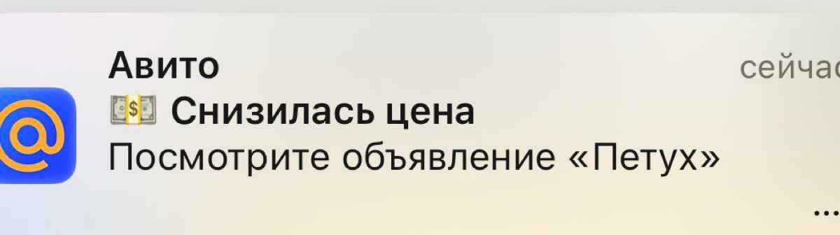 Спасибо, что без запятой! | Сетка — социальная сеть от hh.ru