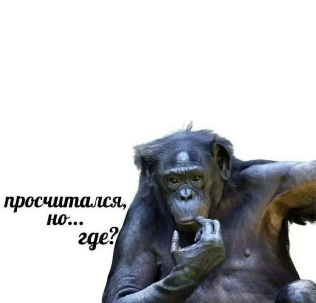 Хочу в IT, Куда идти? Часть 2 | Сетка — социальная сеть от hh.ru
