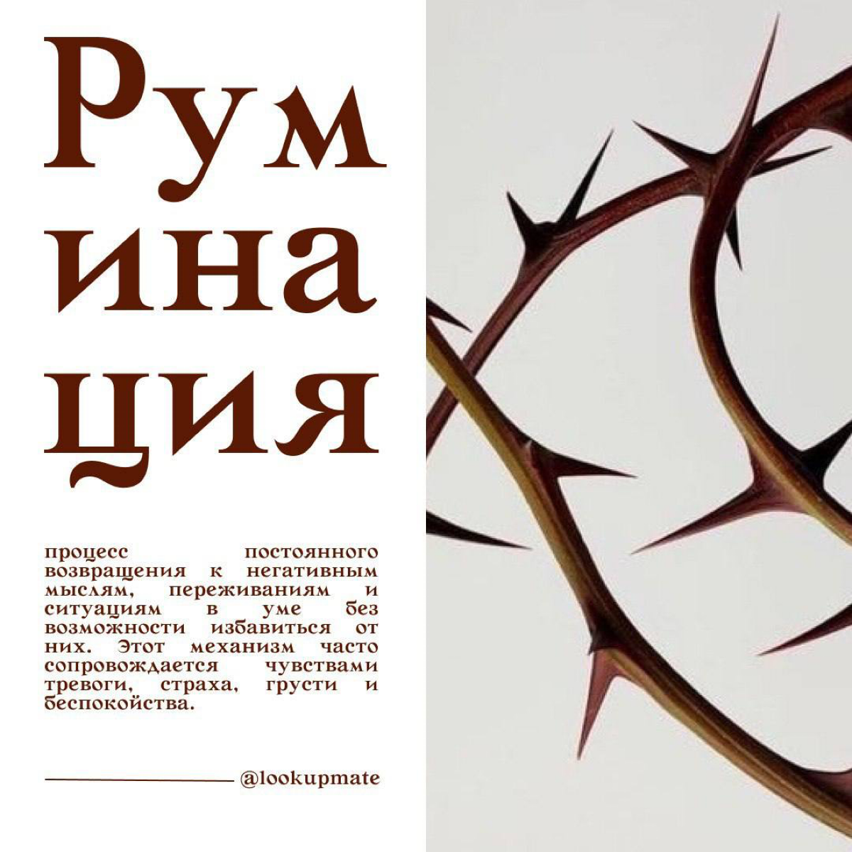 Что такое Руминация? | Сетка — социальная сеть от hh.ru