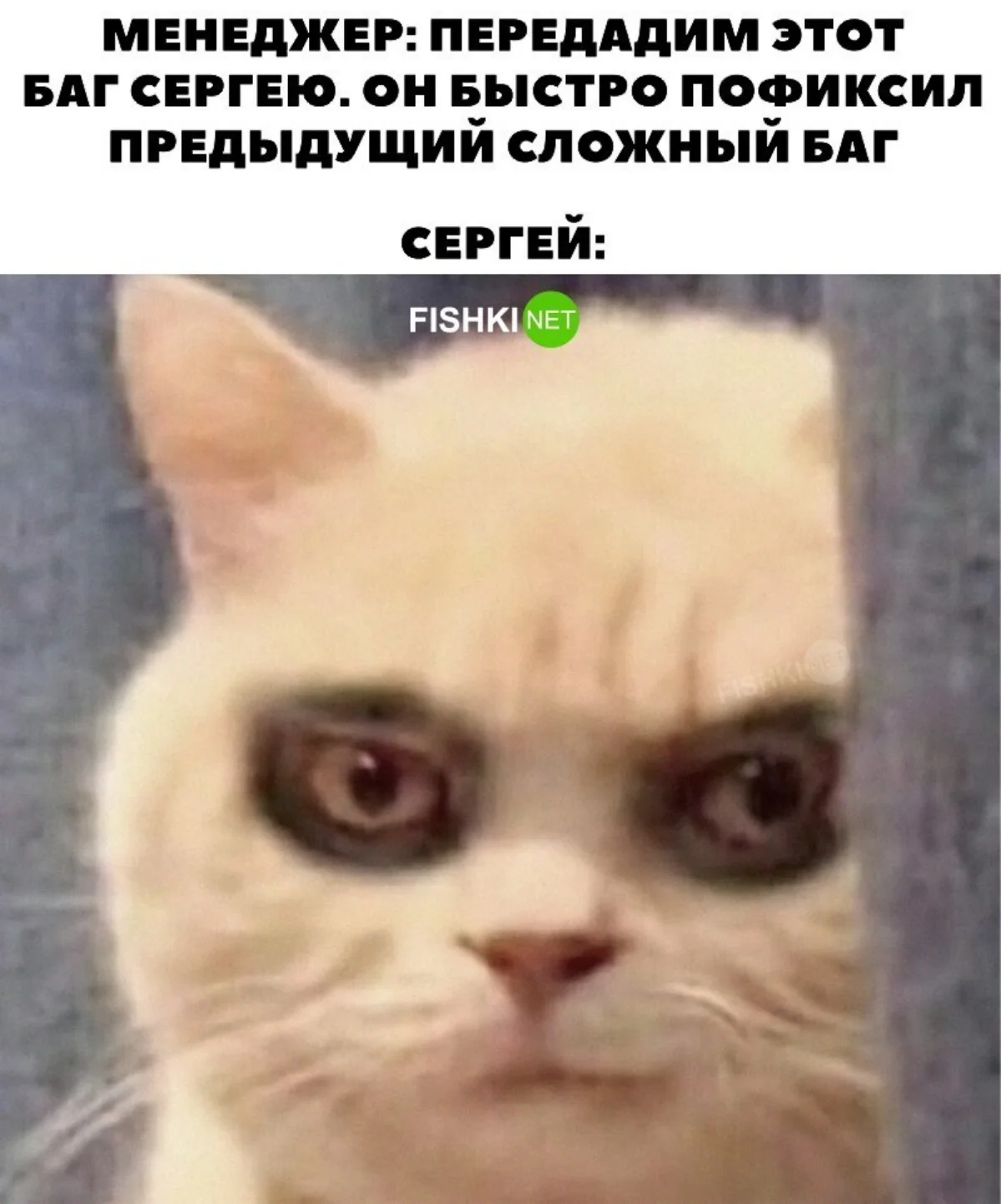 Сетка — социальная сеть от hh.ru