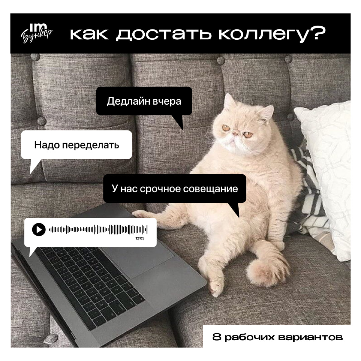 Как достать коллегу | Сетка — социальная сеть от hh.ru