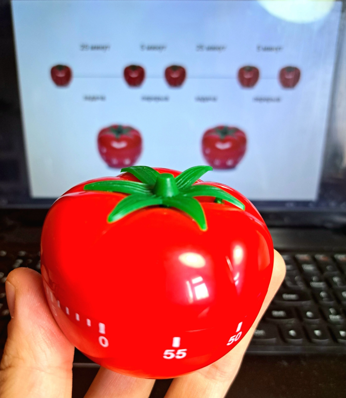 Pomodoro в жизни | Сетка — социальная сеть от hh.ru