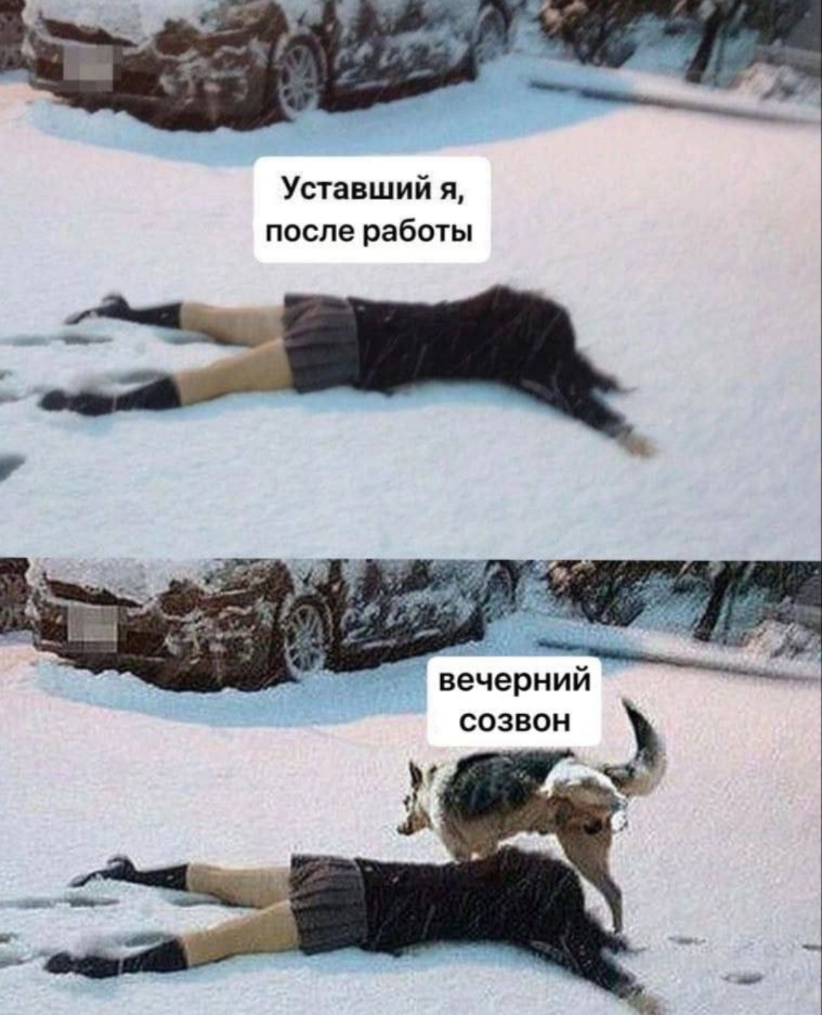 Ничто так не убивает, как созвоны по вечерам.... | Сетка — социальная сеть от hh.ru