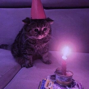 Арсений Никулин | Сетка — социальная сеть от hh.ru