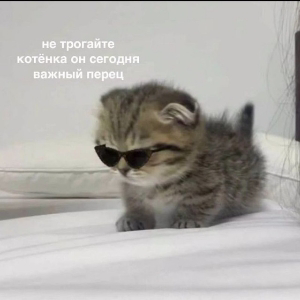 Mарджона Саибова