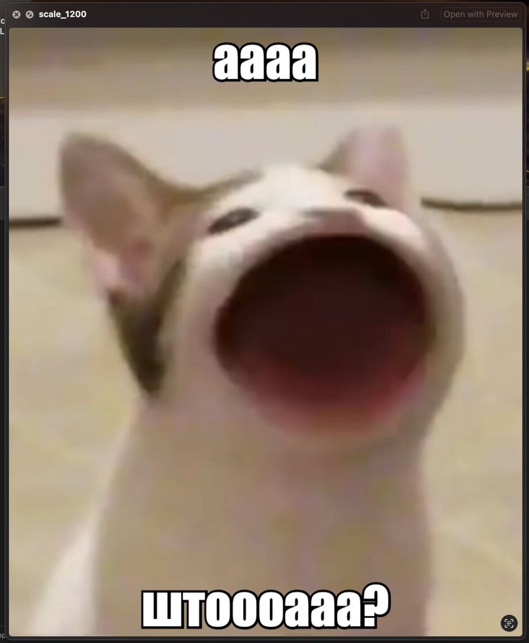 Вы не поверите! На макоси (sonoma 14.2.1) заметила конструктор мемов!
😲 Не мо жет бы ть! 
Странный, конечно, интерфейс и флоу создания | Сетка — социальная сеть от hh.ru