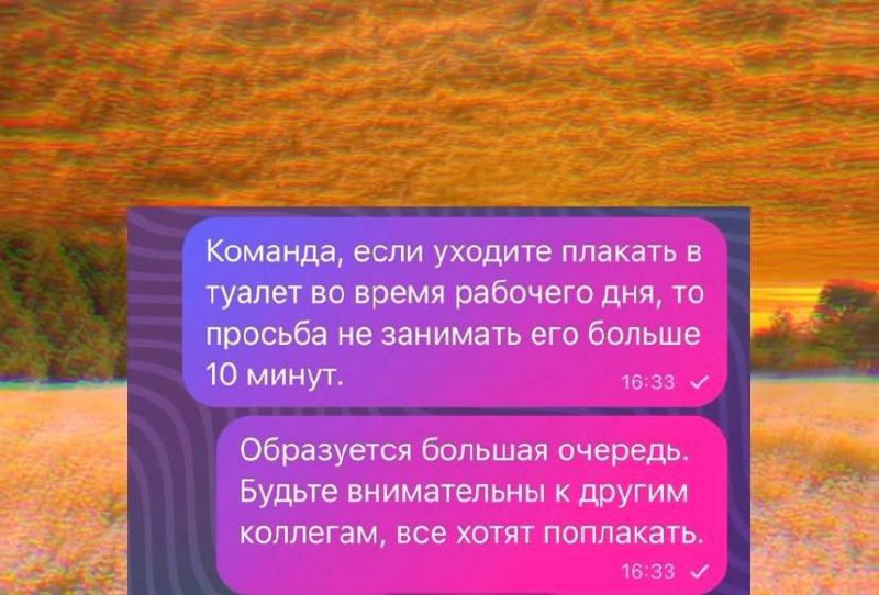 Коллеги, давайте признаем — мы в конце недели. | Сетка — социальная сеть от hh.ru