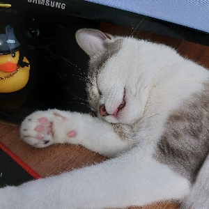 Максим Двинов | Сетка — социальная сеть от hh.ru