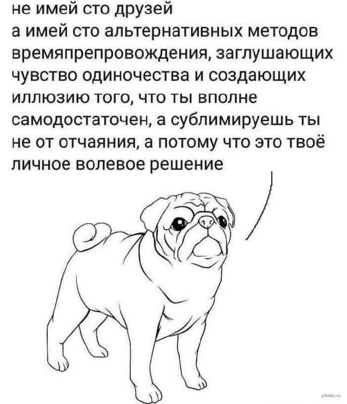 Сетка — социальная сеть от hh.ru