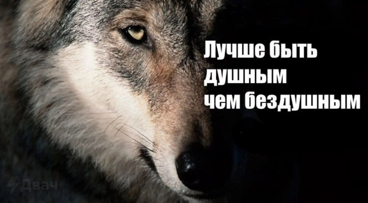 Ауф! :-) | Сетка — социальная сеть от hh.ru