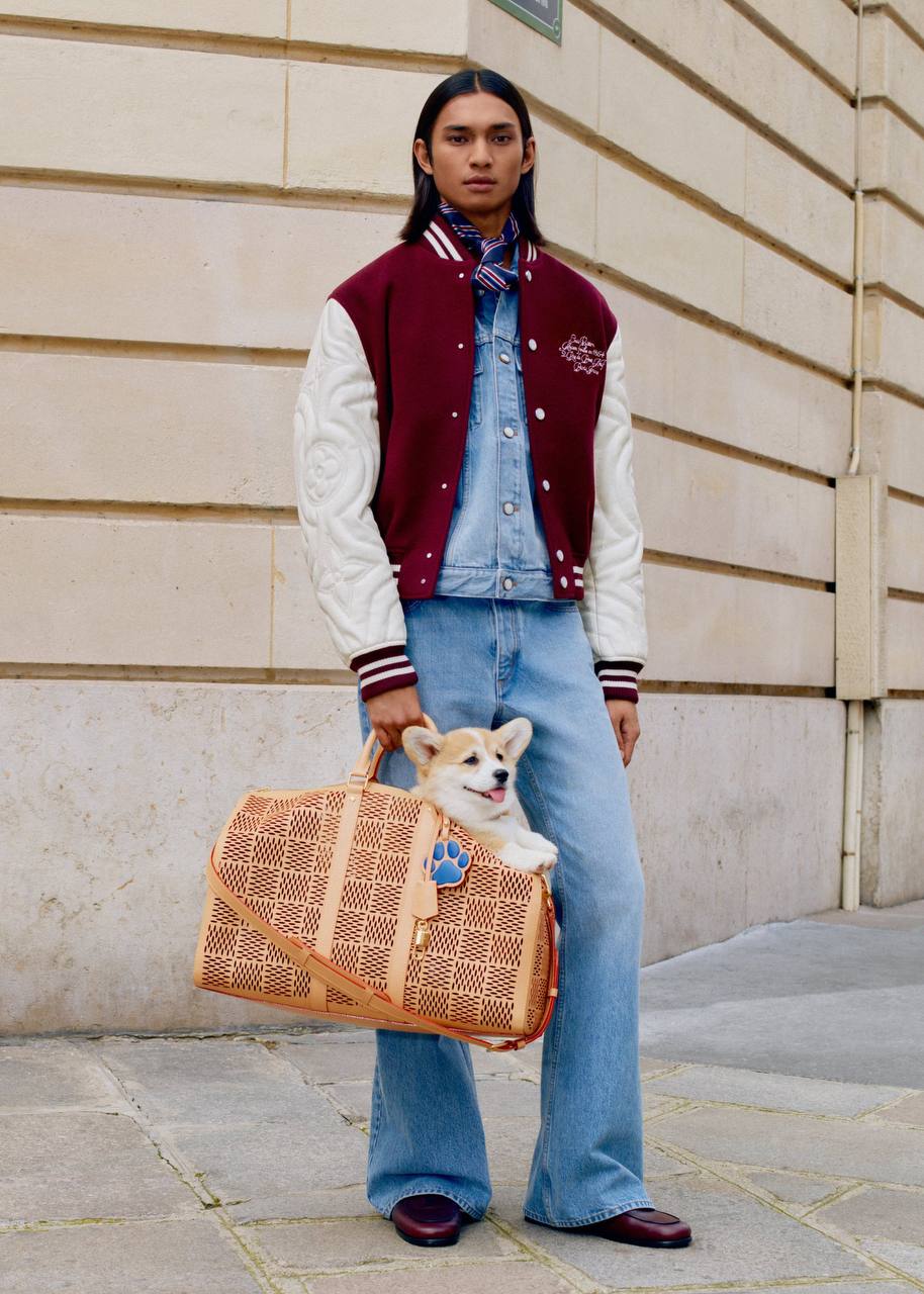 Собачники, держитесь: Louis Vuitton подготовили целую линейку товаров для любимых питомцев | Сетка — социальная сеть от hh.ru