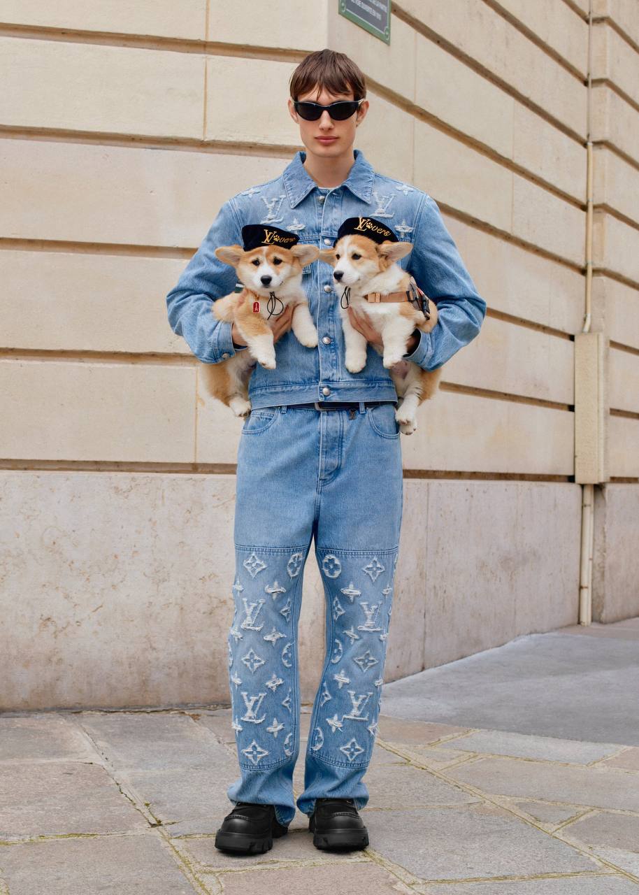 Собачники, держитесь: Louis Vuitton подготовили целую линейку товаров для любимых питомцев | Сетка — социальная сеть от hh.ru