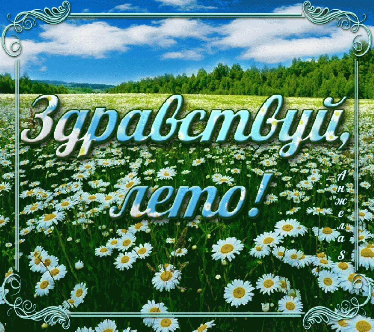 Коллеги, всех с первым днем лета! Не забываем отдыхать | Сетка — социальная сеть от hh.ru