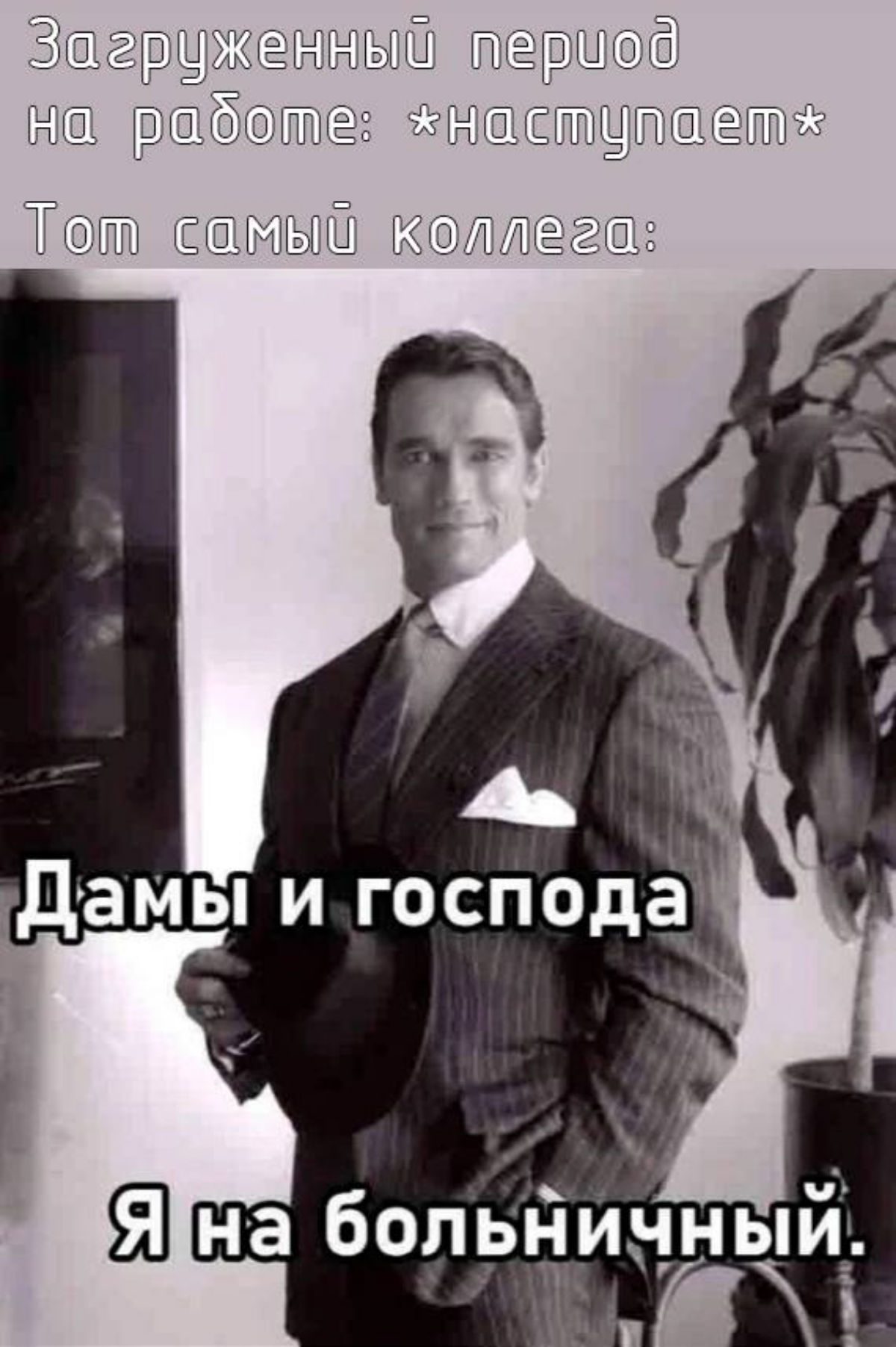 О, вот таких тоже знаю 😁😁 | Сетка — социальная сеть от hh.ru