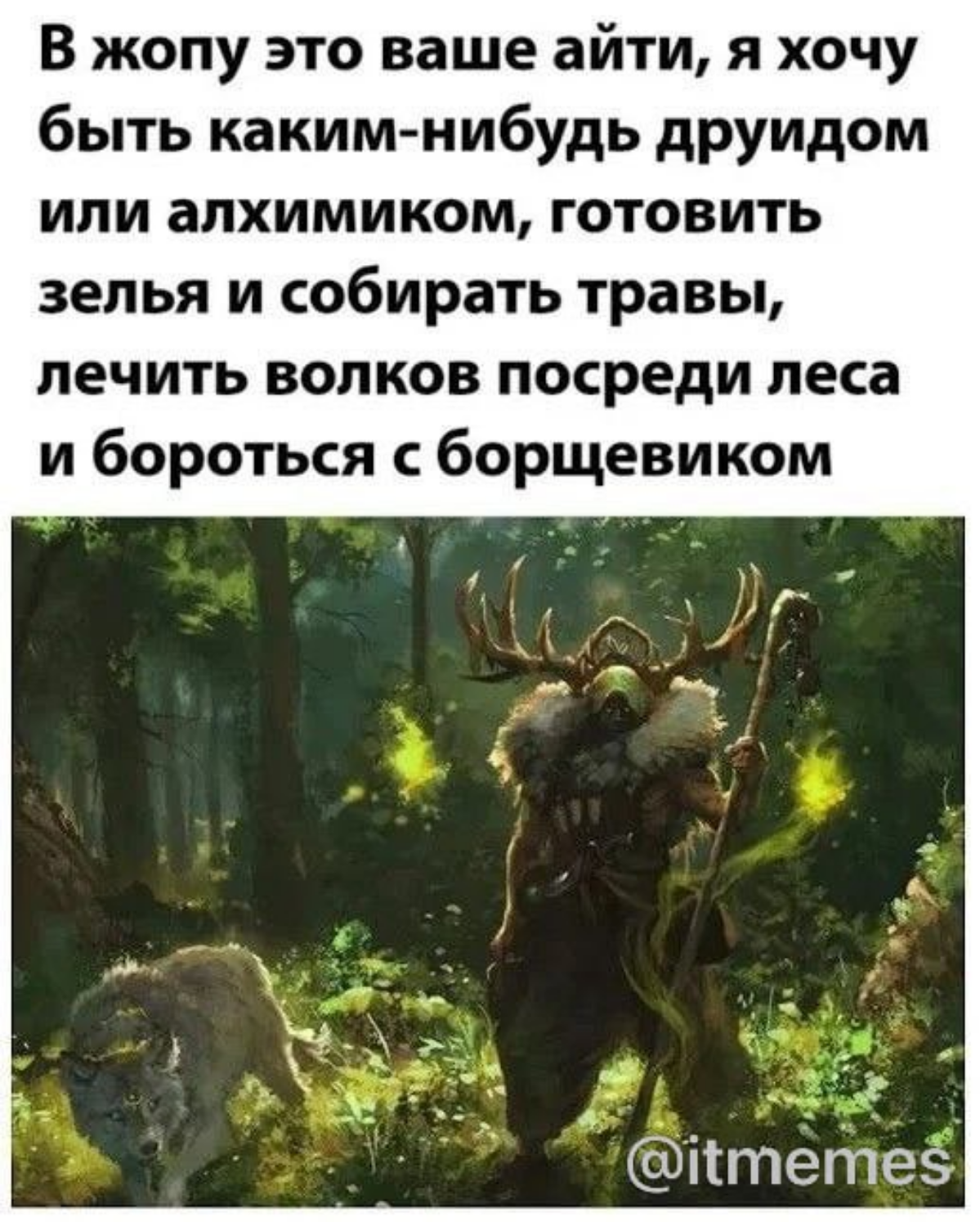 Вот весь день хожу думаю что бы такого написать, рассказать что то о своём пути или же о проблемах в недостатках знаний при решении интересных задач. Поэтому вот вам мем. Всем спасибо всем удачи | Сетка — социальная сеть от hh.ru