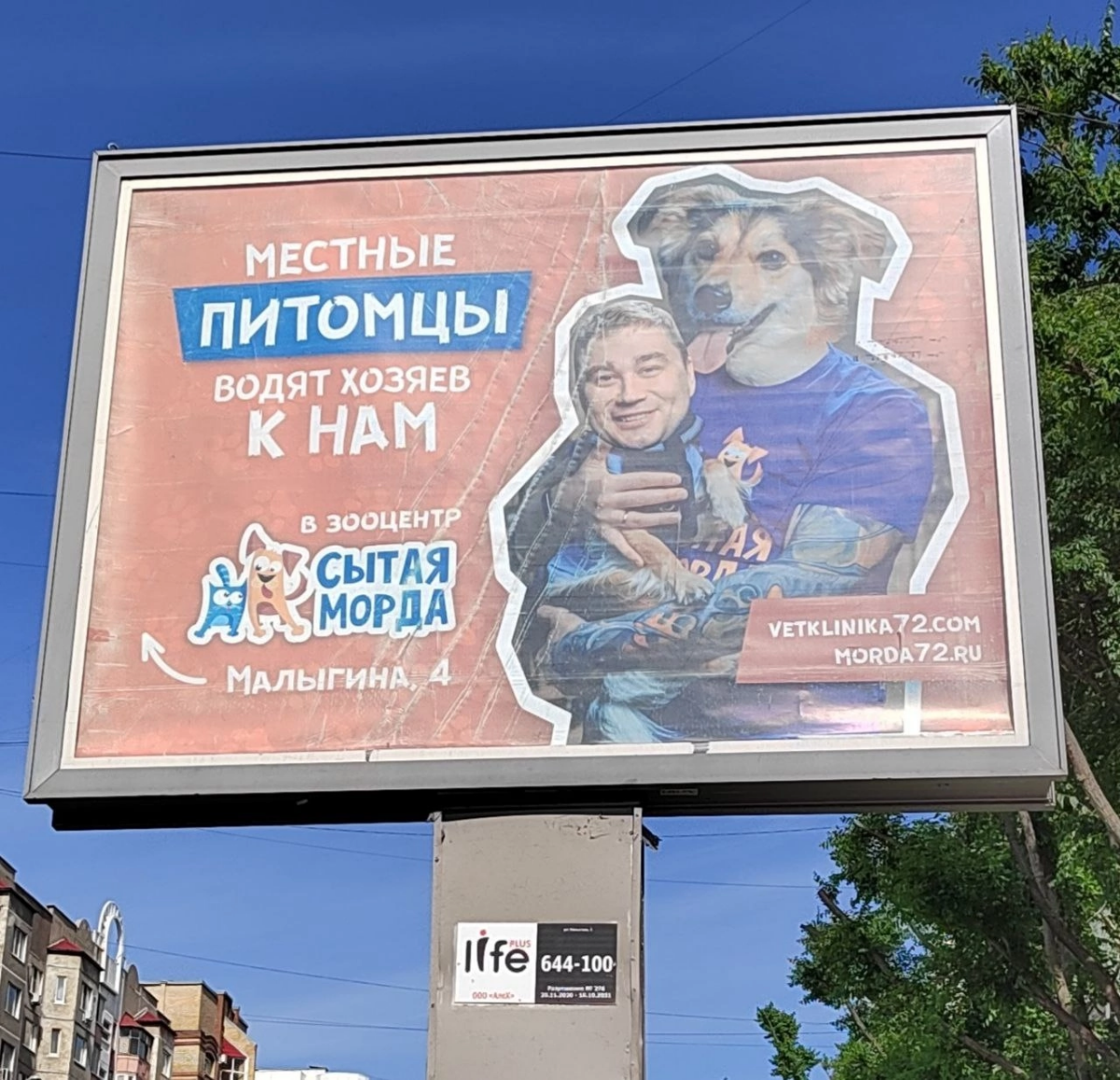 Рубрика  #ДЗУМЕТКИ — это мои находки, наблюдения и заметки. Их обнаруживаю лично в Тюмени и других городах, в которых не бывал никогда | Сетка — социальная сеть от hh.ru