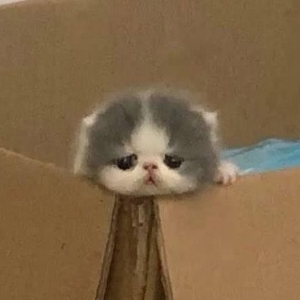 Аркан Лефёвр | Сетка — социальная сеть от hh.ru