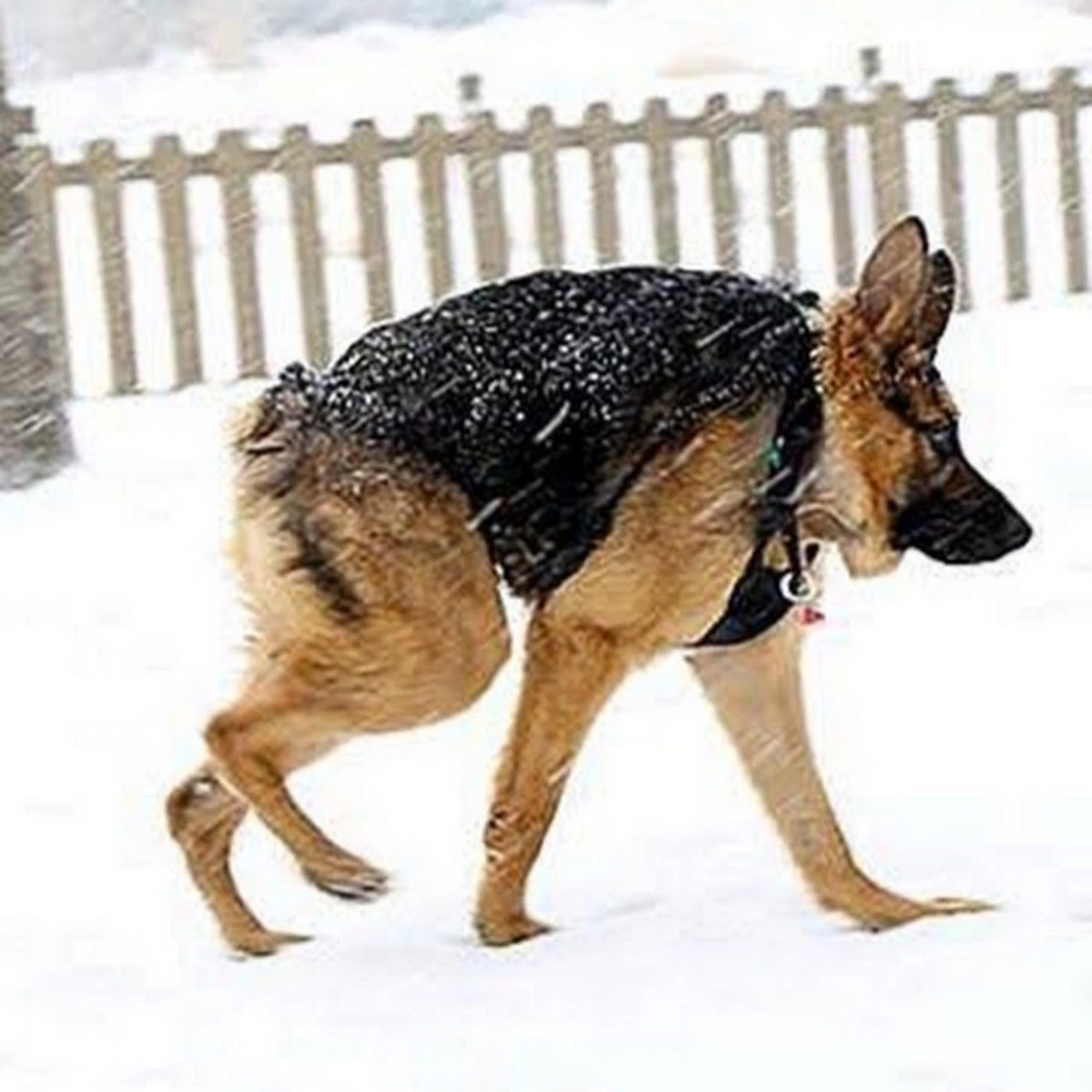 В ходе санкций был выключен Крыму 🐳. Но как оказалось по мнению запада Крым это Россия то бишь они признали что Крым русский так что расчехляем зеркала и и дём разворачивать приколы свои | Сетка — социальная сеть от hh.ru