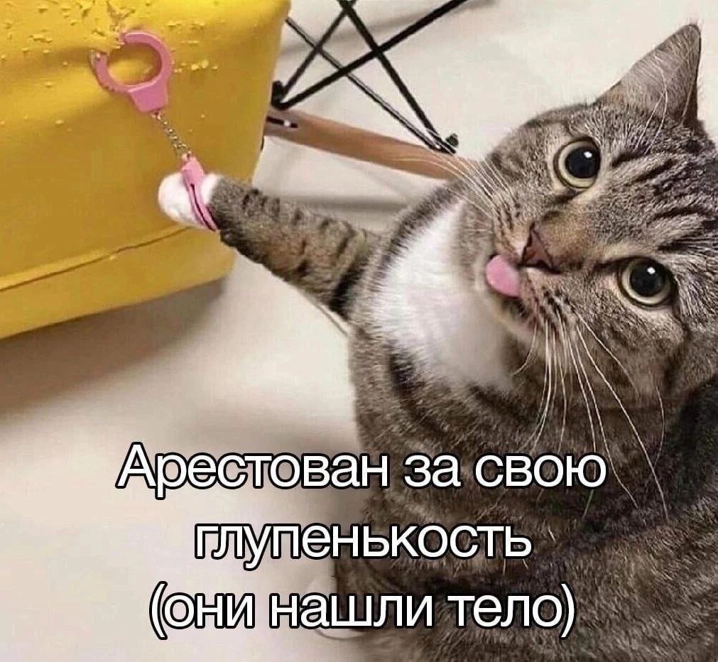 Сетка — социальная сеть от hh.ru