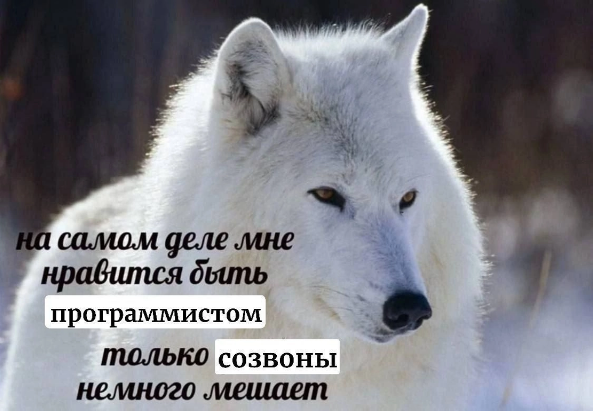 Сетка — социальная сеть от hh.ru