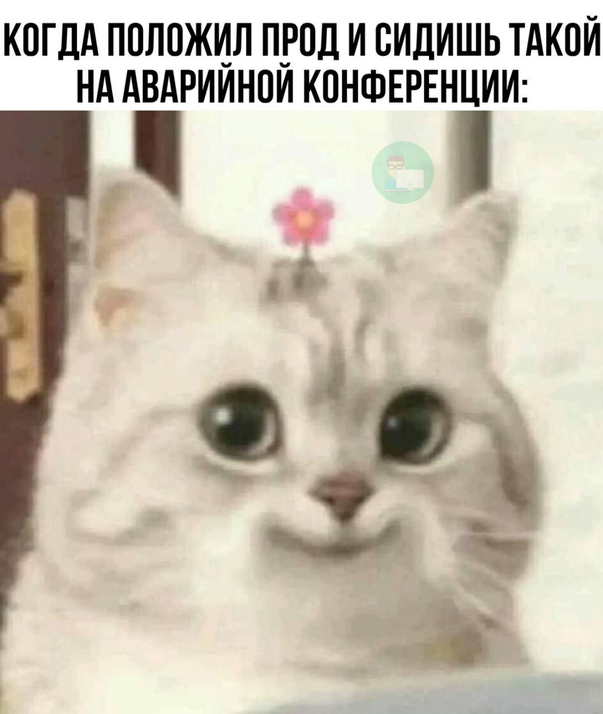 ))) | Сетка — социальная сеть от hh.ru