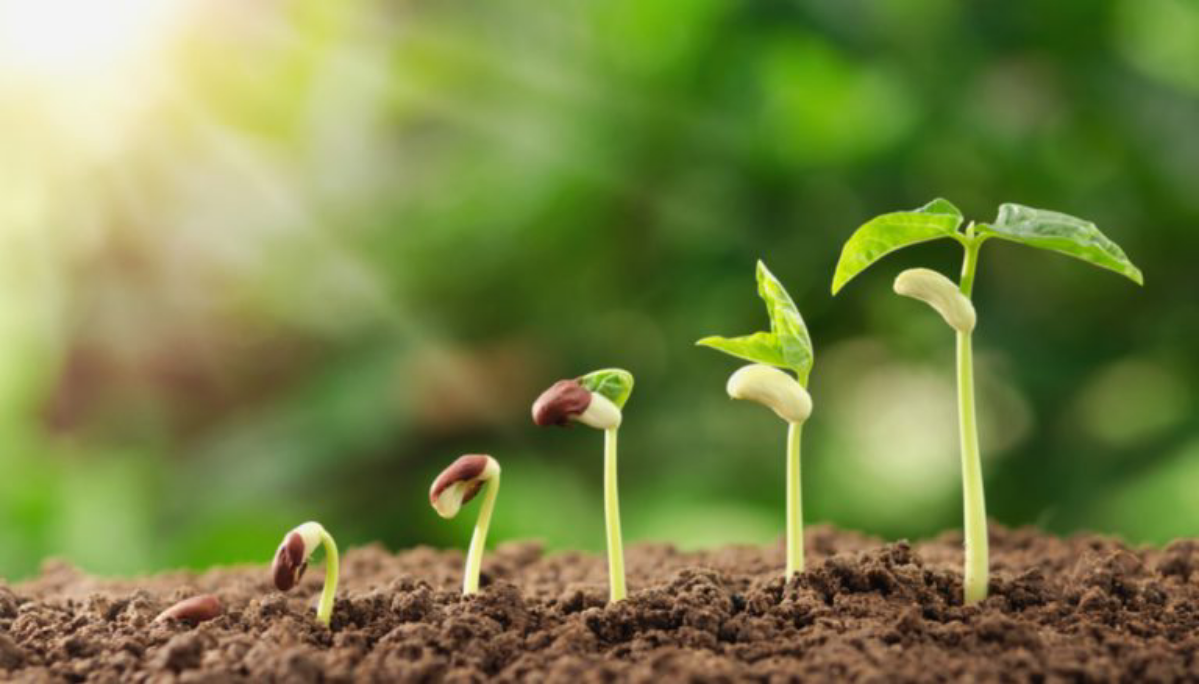 Повышение или развитие: как избежать тщеславия должности | Сетка — социальная сеть от hh.ru