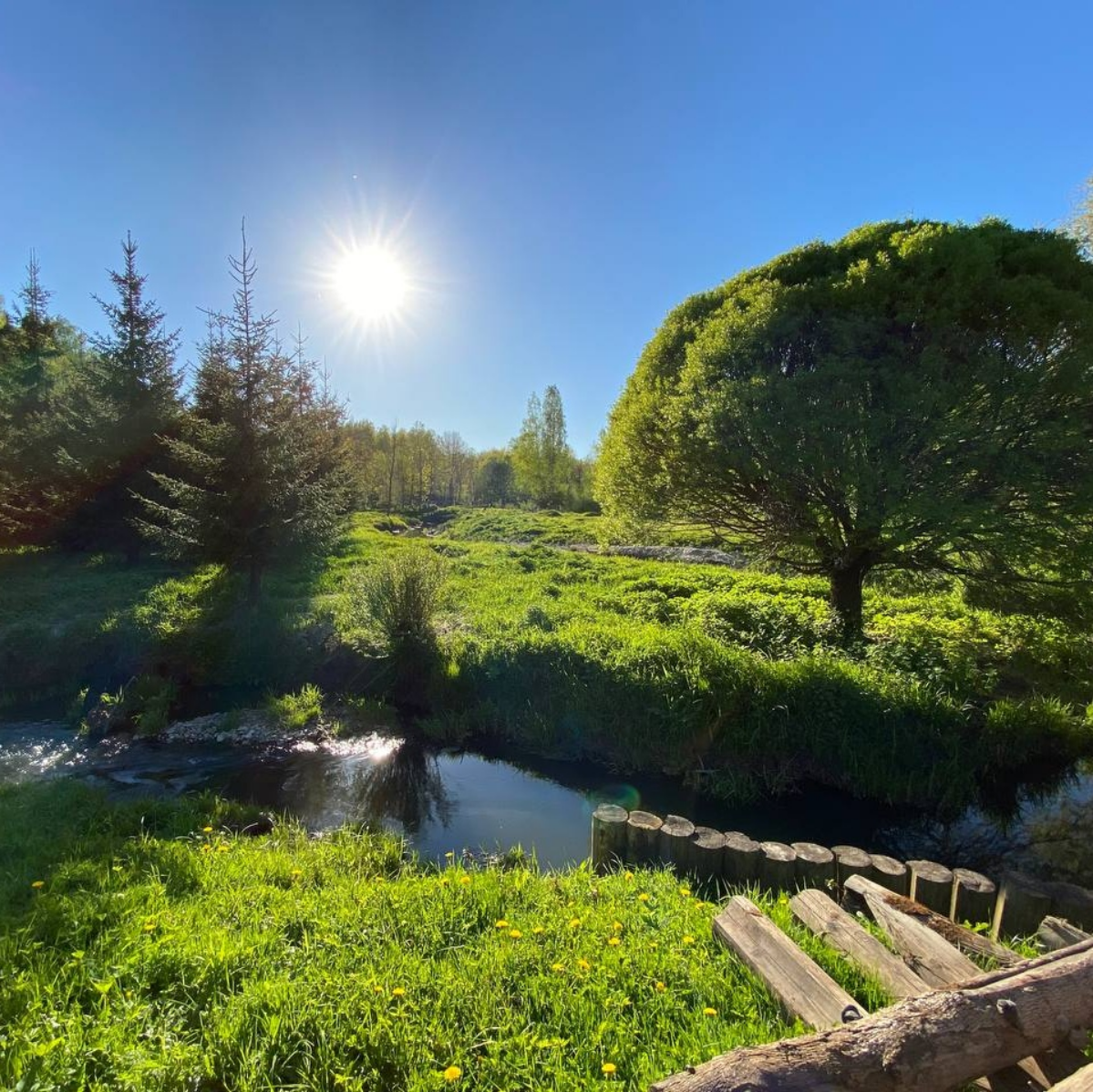 Из пяти Святых Лавр Православной Руси до поездки в Сергиев Посад я был только в трёх: посвящённых святому благоверному князю Александру Невскому в Санкт-Петербурге, Иоанну Затворнику Святогорскому в 1... | Сетка — социальная сеть от hh.ru