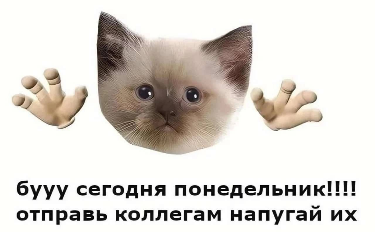 Мем #15 | Сетка — социальная сеть от hh.ru