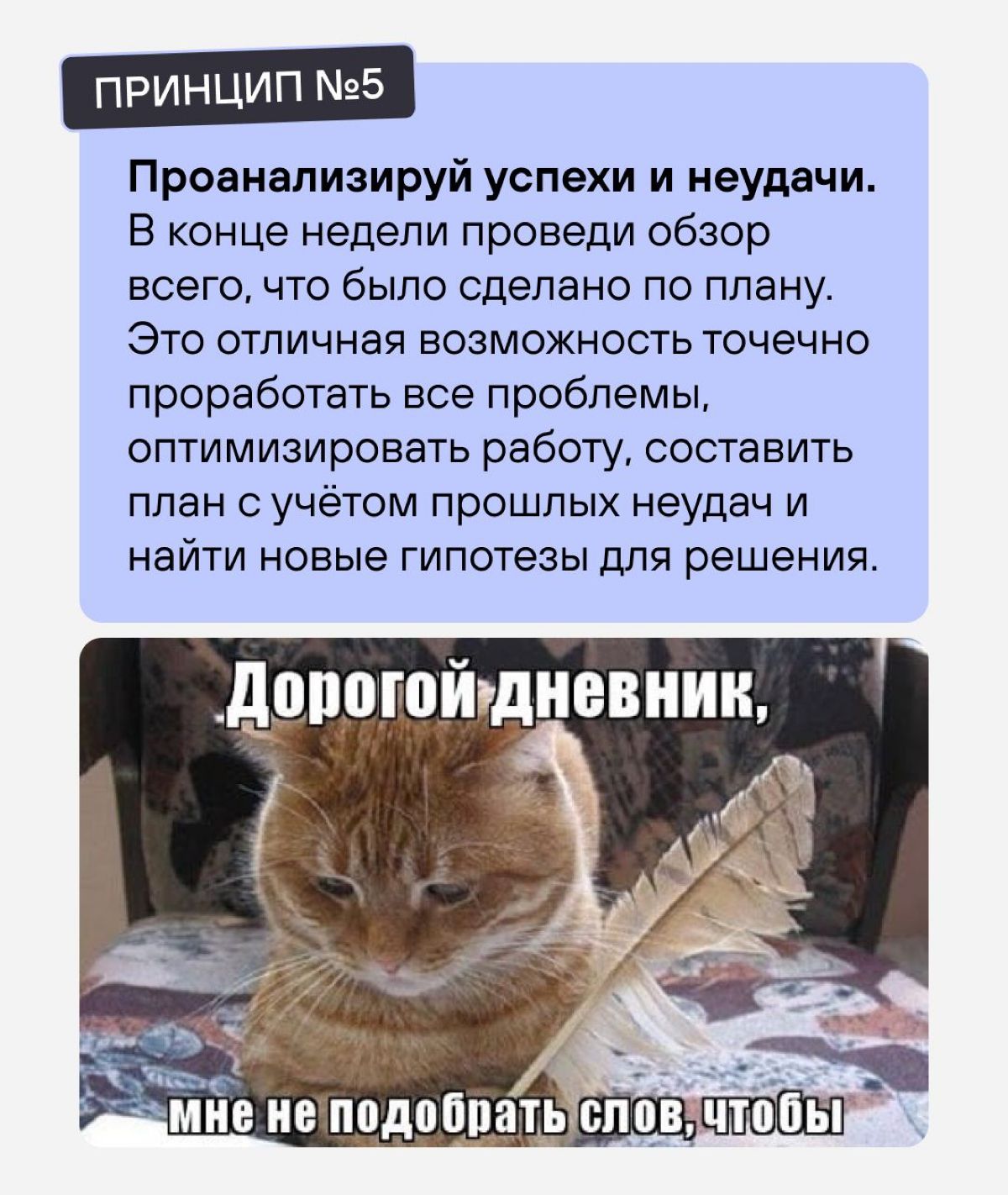 Каждую неделю приходится планировать новую
неделю, это замкнутый круг такой? | Сетка — социальная сеть от hh.ru