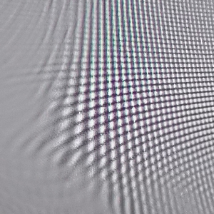 Анастасия Грибачева | Сетка — социальная сеть от hh.ru