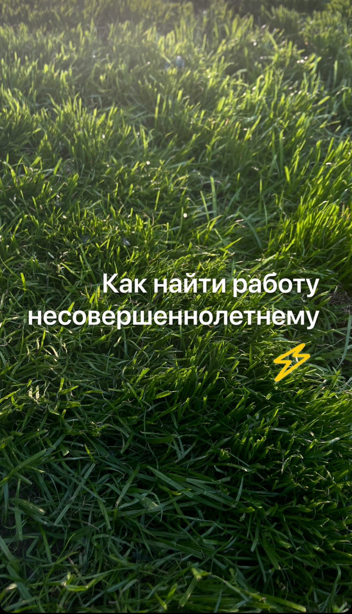 Как найти работу несовершеннолетнему? 🔞 | Сетка — социальная сеть от hh.ru