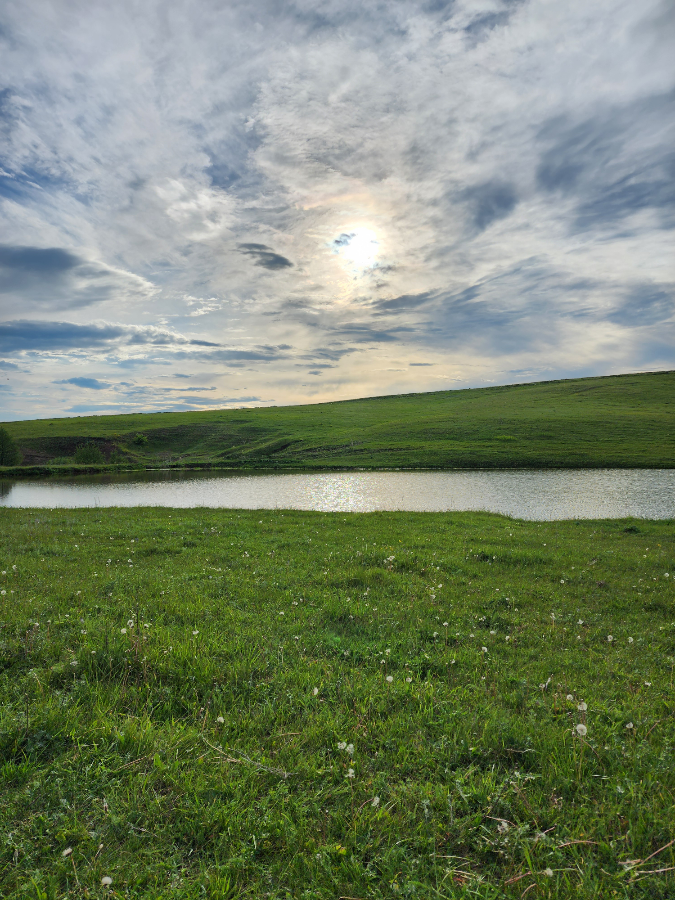 Всем привет, друзья! ☀️
Сегодняшний день обещает быть продуктивным и ярким. В этом посте хочу поделиться с вами важностью непрерывного обучения и развития в HR | Сетка — социальная сеть от hh.ru
