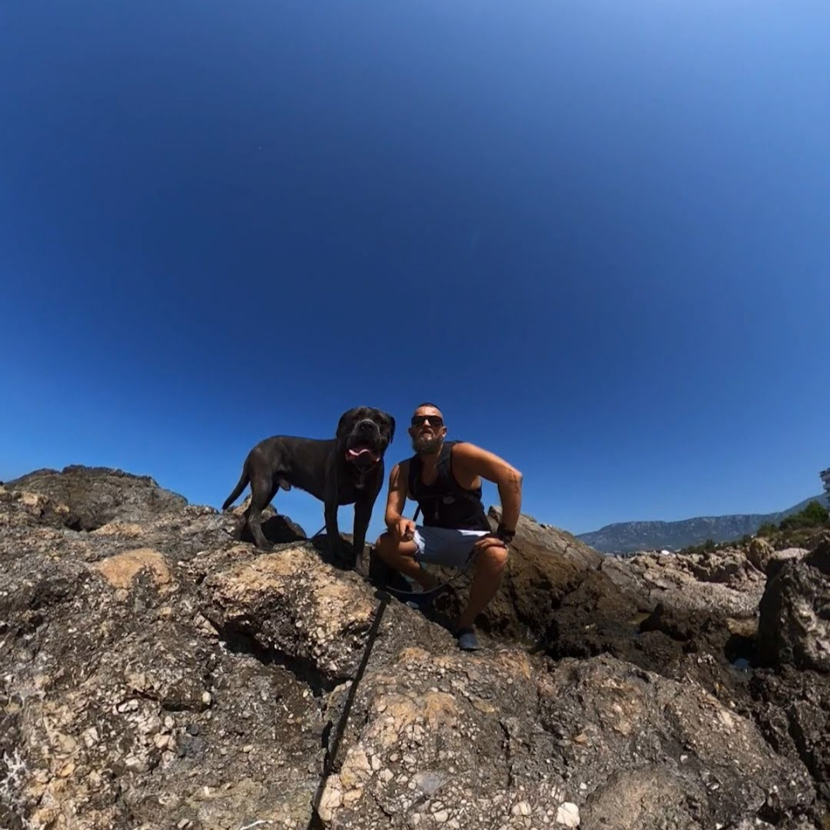 Конкуренции нет | Сетка — социальная сеть от hh.ru