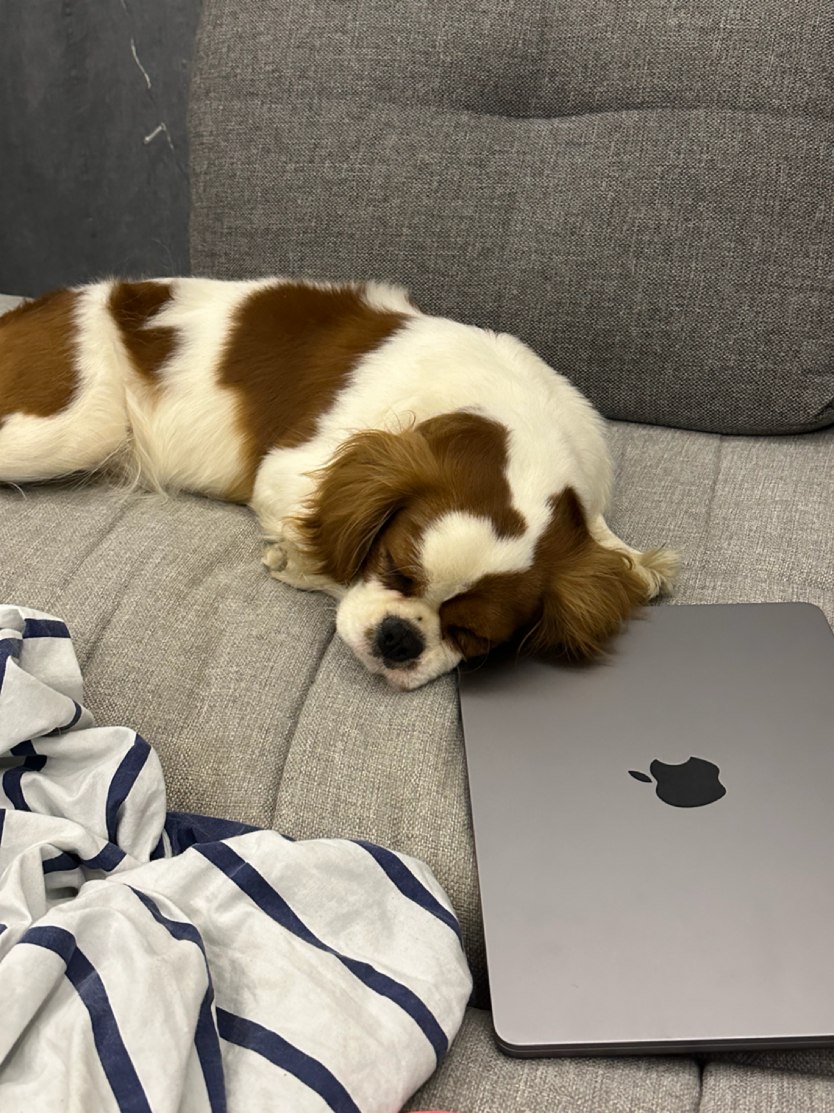 Начинать лучше со знакомства.
Привет 👋🏻 Я Жанна. Сейчас, как Growth Lead, я занимаюсь ростом продуктов и денежек с них соответственно | Сетка — социальная сеть от hh.ru