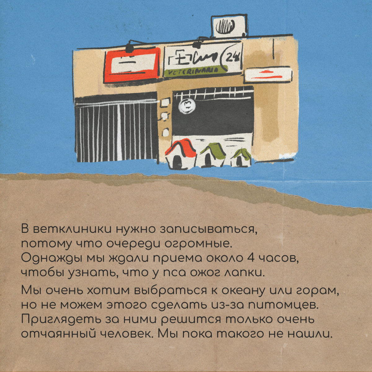 Привет! Мы Полина и Женя. В августе 2023 года мы переехали из Петербурга в Буэнос-Айрес с котом и собакой.
За билеты питомцам заплатили 110 000 ₽ | Сетка — социальная сеть от hh.ru